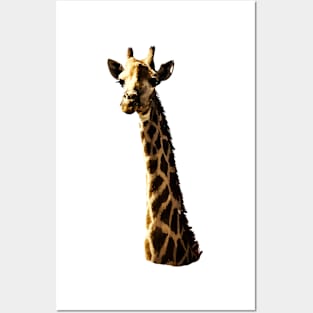 Giraffe Posters and Art